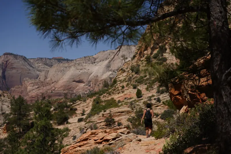 A trail in Zion